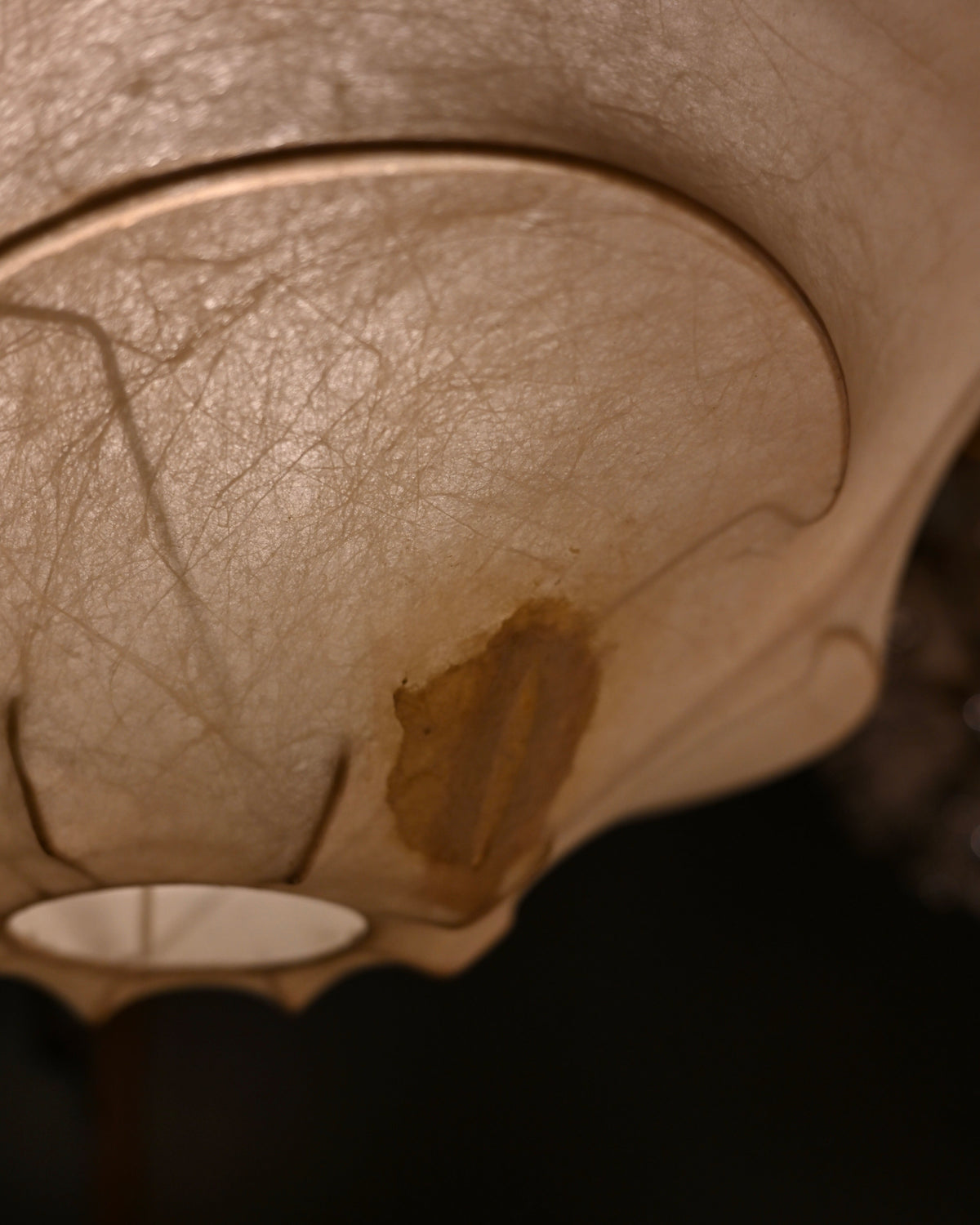 Close-up of vintage repair patch on Cocoon shade